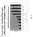 Fig. 06 - Multiplex compositions and methods for quantification of human nuclear DNA and human male DNA and detection of PCR inhibitors
