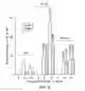 Fig. 06 - Compositions and Methods Relating to Mitochondrial Hyperpolarization in Neurological Disease
