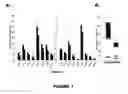 Fig. 02 - Method for correcting a lipid imbalance in a subject