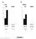 Fig. 04 - Method for correcting a lipid imbalance in a subject