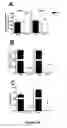 Fig. 16 - Method for correcting a lipid imbalance in a subject