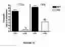 Fig. 17 - Method for correcting a lipid imbalance in a subject