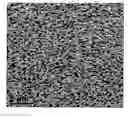 Fig. 01 - MICROPOROUS FILMS FROM COMPATIBILIZED POLYMERIC BLENDS