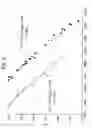 Fig. 09 - MICROPOROUS FILMS FROM COMPATIBILIZED POLYMERIC BLENDS