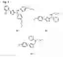 Fig. 02 - Methods of oligomerizing olefins