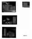 Fig. 02 - Autologous T Cell Manufacturing Processes