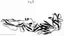 Fig. 08 - Chimeric flaviviruses