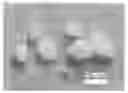 Fig. 01 - HYDROGELS AND HYDROGEL PARTICLES