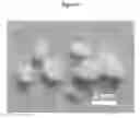 Fig. 02 - HYDROGELS AND HYDROGEL PARTICLES
