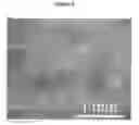 Fig. 04 - HYDROGELS AND HYDROGEL PARTICLES