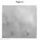 Fig. 05 - HYDROGELS AND HYDROGEL PARTICLES