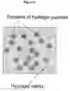 Fig. 09 - HYDROGELS AND HYDROGEL PARTICLES