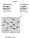 Fig. 14 - HYDROGELS AND HYDROGEL PARTICLES