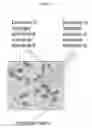 Fig. 15 - HYDROGELS AND HYDROGEL PARTICLES