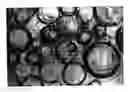 Fig. 01 - GELS FOR ENCAPSULATION OF BIOLOGICAL MATERIALS