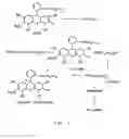 Fig. 02 - GELS FOR ENCAPSULATION OF BIOLOGICAL MATERIALS