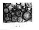 Fig. 06 - GELS FOR ENCAPSULATION OF BIOLOGICAL MATERIALS