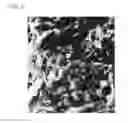 Fig. 05 - Carbon fiber-metal composite material and method of producing the same