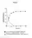 Fig. 04 - Peptide-forming enzyme gene