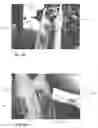 Fig. 09 - Apparatus and method for cutting-free of tender-loin