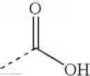 Fig. 2139 - Encapsulated amyloid-beta peptides
