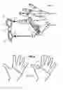 Fig. 03 - Strape glove