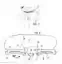 Fig. 02 - Eyebrow stencil positioning apparatus with stencil visualization lines