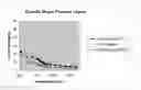 Fig. 03 - Polyamide matrices and methods for their preparation and use