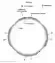 Fig. 05 - Vehicle wheel