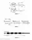 Fig. 07 - High throughput screen utilizing newly discovered intramolecular neuronal calcium channel interactions to discover new analgesics