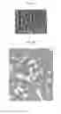 Fig. 04 - Silicon-carbide nanostructure and method for producing the silicon-carbide nanostructure