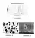 Fig. 06 - Fabrication of Electrode Structures by Thermal Spraying