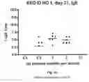 Fig. 05 - Subtilase variants having altered lmmunogenicity