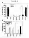 Fig. 06 - Modulators Of NOD2 Signalling