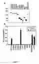 Fig. 08 - Modulators Of NOD2 Signalling