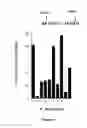Fig. 06 - Fibroblast Activation Protein Inhibitor Compounds and Methods