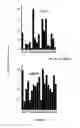 Fig. 08 - Fibroblast Activation Protein Inhibitor Compounds and Methods