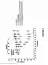 Fig. 02 - Dipyrrole compounds, compositions, and methods for treating cancer or viral diseases