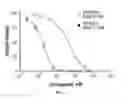 Fig. 02 - METHODS OF USING [3.2.0] HETEROCYCLIC COMPOUNDS AND ANALOGS THEREOF FOR TREATING INFECTIOUS DISEASES