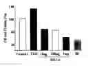 Fig. 01 - Composition comprising the alcohol compound isolated from the extract of cucurbitaceae family plant having anti-adipogenic and anti-obesity activity