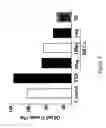 Fig. 03 - Composition comprising the alcohol compound isolated from the extract of cucurbitaceae family plant having anti-adipogenic and anti-obesity activity