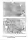 Fig. 02 - Extracts of Latex of Calotropis Procera and to a Method of Preparation Thereof