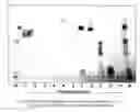 Fig. 05 - Extracts of Latex of Calotropis Procera and to a Method of Preparation Thereof