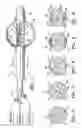 Fig. 02 - Methods for asymmetrical irradiation of a body cavity