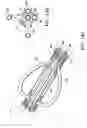 Fig. 07 - Methods for asymmetrical irradiation of a body cavity