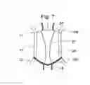 Fig. 05 - Panty