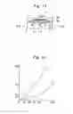 Fig. 08 - Panty