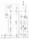 Fig. 19 - Continuously operating filtering apparatus