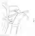 Fig. 16 - Waste compaction unit