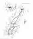 Fig. 02 - Caution flag apparatus